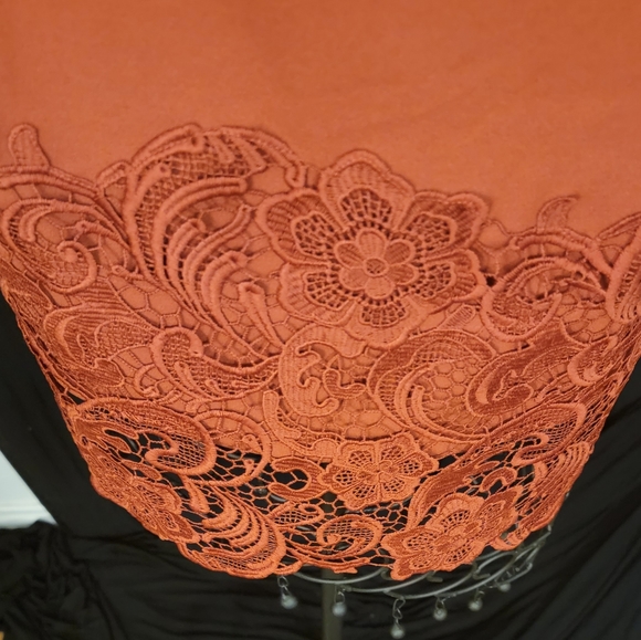 Sz Lg Copper Colored Skirt - Picture 2 of 3